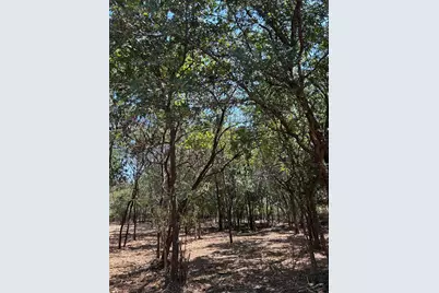 335 S Ash Avenue, Azle, TX 76020 - Photo 3