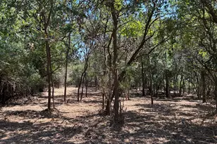 335 S Ash Ave, Azle, TX 76020 - Photo 1