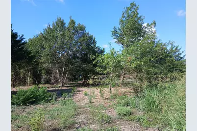 Tbd Lot 4 Hcr 3360 Road, Hubbard, TX 76648 - Photo 7