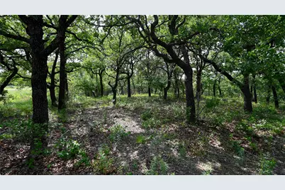 399 Nocona Drive, Nocona, TX 76255 - Photo 3