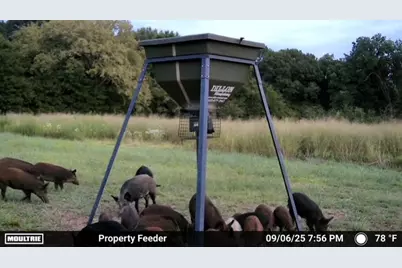 N/A Us-377 Highway, Whitesboro, TX 76273 - Photo 11