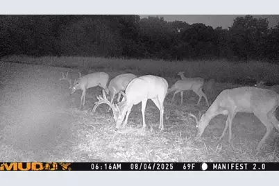 N/A Us-377 Highway, Whitesboro, TX 76273 - Photo 9