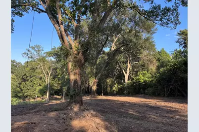 0 N Old Prairieville, Athens, TX 75751 - Photo 5