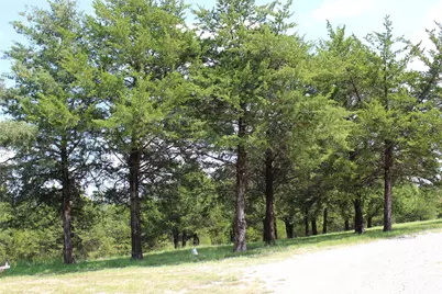 1229 County Road 3105, Bonham, TX 75418 - Photo 13