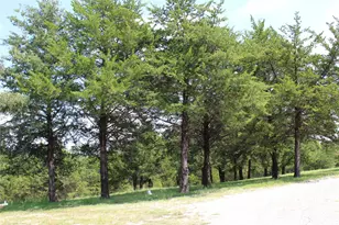 1229 Co Rd 3105, Bonham, TX 75418 - Photo 13