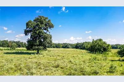 Tbd W Fm 1246 Street, Thornton, TX 76687 - Photo 5