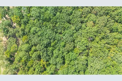 Tbd Angler Shores, Yantis, TX 75497 - Photo 5