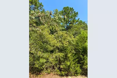 205 Highway 155 Highway, Avinger, TX 75630 - Photo 27