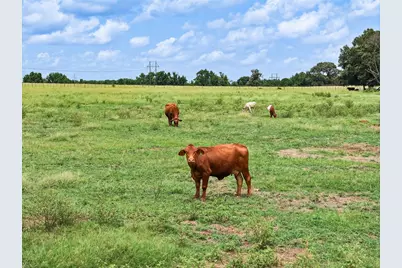 Tract 2 Fm 855, Jacksonville, TX 75766 - Photo 3