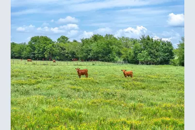 Tract 2 Fm 855, Jacksonville, TX 75766 - Photo 5