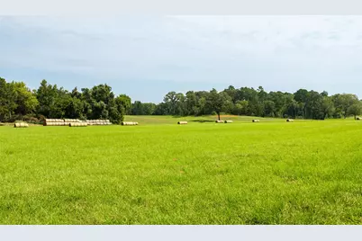 1323 An County Road 153, Palestine, TX 75801 - Photo 21