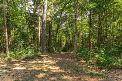 1323 An County Road 153, Palestine, TX 75801 - Photo 29