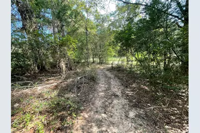 16399 N US Highway 287, Tennessee Colony, TX 75861 - Photo 9