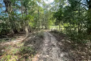 16399 N US Hwy 287, Tennessee Colony, TX 75861 - Photo 9