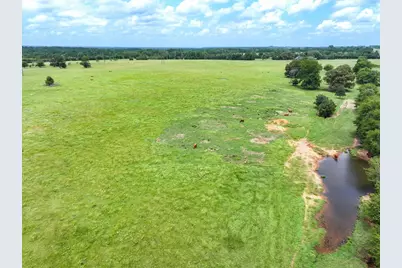 Tract 5 Fm 855, Jacksonville, TX 75766 - Photo 5