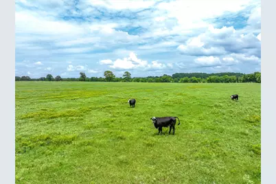 Tract 6 Fm 855, Jacksonville, TX 75766 - Photo 15