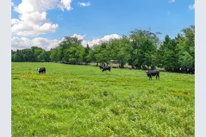 Tract 9 County Road 3415, Jacksonville, TX 75766 - Photo 7