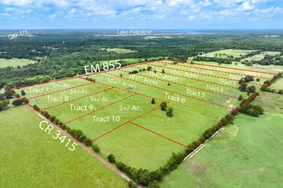 Tract 9 County Road 3415, Jacksonville, TX 75766 - Photo 13