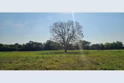 375 Rs County Road 1430, Point, TX 75472 - Photo 5
