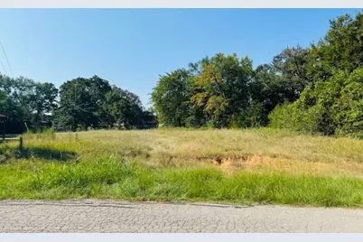 00A Harbor Drive, Gun Barrel City, TX 75156 - Photo 3