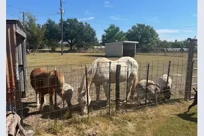 6524 Fair Road, Kaufman, TX 75142 - Photo 33
