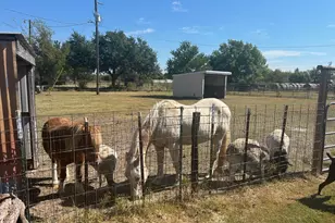 6524 Fair Rd, Kaufman, TX 75142 - Photo 33