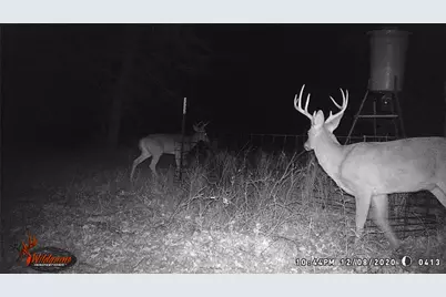 300 Chandler Road, Lipan, TX 76462 - Photo 7