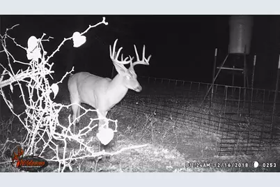 300 Chandler Road, Lipan, TX 76462 - Photo 9