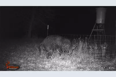 300 Chandler Road, Lipan, TX 76462 - Photo 35