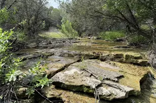 Tbd 2010, Glen Rose, TX 76043 - Photo 13