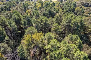 2026 Co Rd 3234, Quitman, TX 75783 - Photo 9