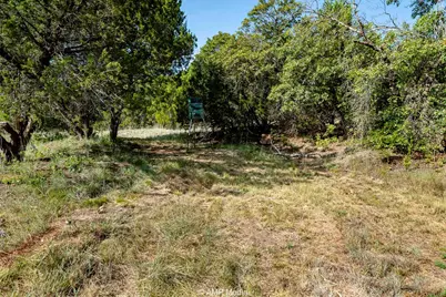 1814 County Road 351, Merkel, TX 79536 - Photo 9