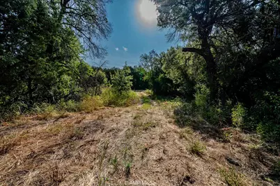 1814 County Road 351, Merkel, TX 79536 - Photo 3