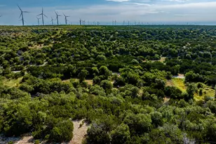 1814 Co Rd 351, Merkel, TX 79536 - Photo 19