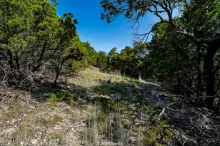 1814 Co Rd 351, Merkel, TX 79536 - Photo 11