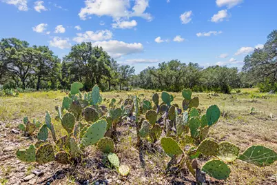 Lot 170 Heartleaf, Lampasas, TX 76550 - Photo 9