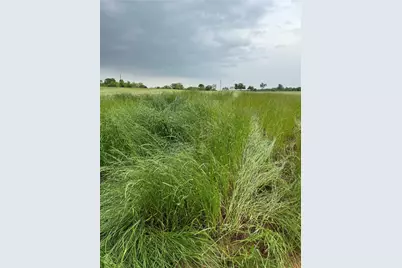 298 Cr 3735 Road, Bridgeport, TX 76426 - Photo 3