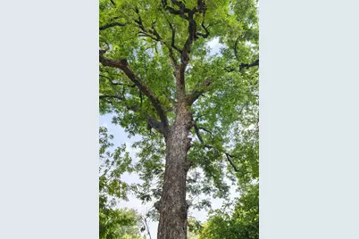 10950 Custer Trail, Frisco, TX 75035 - Photo 35