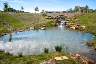 1003 Lone Ivory Trail, Arlington, TX 76005 - Photo 39