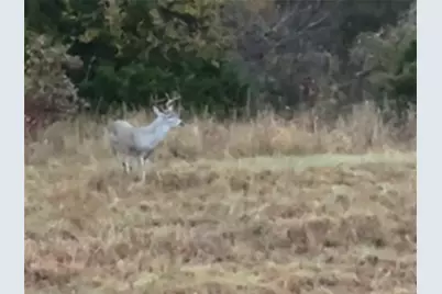 37100 County Road, Paris, TX 75462 - Photo 3