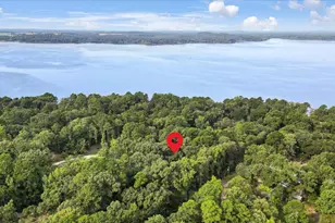 220 Dale Dr, Avinger, TX 75630 - Photo 29