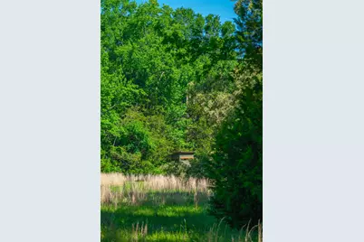 0 County Road 2592, Marietta, TX 75568 - Photo 19