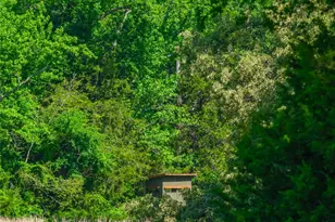 0 Co Rd 2592, Marietta, TX 75568 - Photo 19