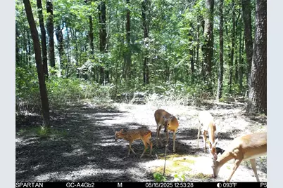 0 County Road 2592, Marietta, TX 75568 - Photo 31