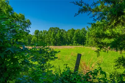 0 County Road 2592, Marietta, TX 75568 - Photo 15