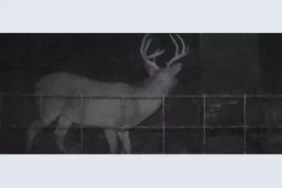 902 Vz County Road 3710, Edgewood, TX 75117 - Photo 39