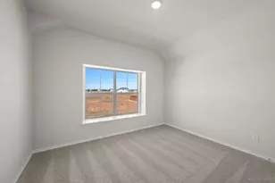 321 Los Llanos Rd, Granbury, TX 76048 - Photo 15