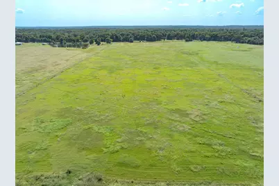 269 Vz County Road 4305 Drive, Ben Wheeler, TX 75754 - Photo 17