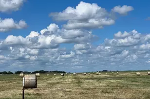 269 Vz County Road 4305 Dr, Ben Wheeler, TX 75754 - Photo 1