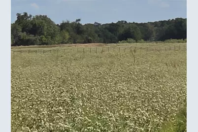 Tbd 20 Acres SE Cr 3150, Corsicana, TX 75109 - Photo 35